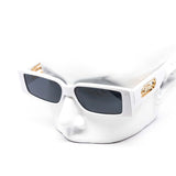12 Pack: Chunky Rey Feline Univision Wholesale Fashion Sunglasses