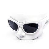 12 Pack: Oversized Superbug Matte Wholesale Fashion Sunglasses