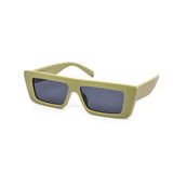 12 Pack: Flat-top Simple Walter Chunky Matte Pastel Wholesale Sunglasses