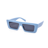 12 Pack: Flat-top Simple Walter Chunky Matte Pastel Wholesale Sunglasses