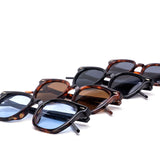 12 Pack: Modern Scholar Square Wholesale Sunglasses