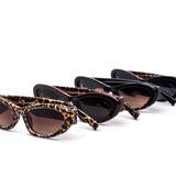 12 Pack: Wild Luxe Leopard Cat Eye Wholesale Sunglasses