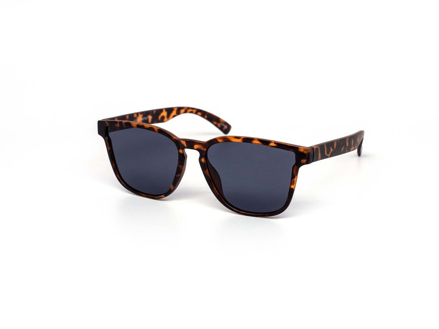 12 Pack: Set Simpleton Daywalker Wholesale Sunglasses