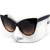 12 Pack: Classy Super Cateye Assorted Wholesale Sunglasses