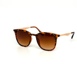 12 Pack: Sleek Minimalist Retro Classic Wholesale Sunglasses