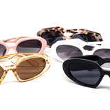 12 Pack: Chunky Oval Lucky Sally Gradient Fashion Wholesale Sunglasses