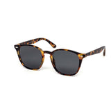 12 Pack: Trendy Way Fairlady Wholesale Sunglasses