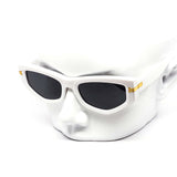 12 Pack: Gentle Fly Gold Accented Wholesale Sunglasses