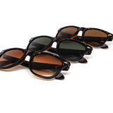 12 Pack: Modern Classic Way Tortoise Wholesale Sunglasses