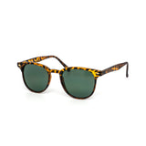 12 Pack: Modern Petite Timeless Fashion Wholesale Sunglasses
