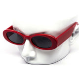 12 Pack: Trendy Oval Thick Wholesale Sunglasses