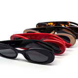 12 Pack: Trendy Oval Thick Wholesale Sunglasses